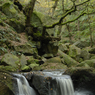 DSC_1019tfinishedver2.jpg