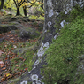 _DSC1805.jpg