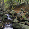 _DSC1829.jpg