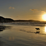 whitesands0010.jpg