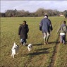 Dogwalkers.jpg