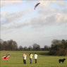 PinkneysGnKites.jpg