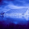 09_-_New_glasshouse_shot_in_IR_-_ja.jpg