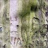 P2050014.jpg
