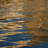 DSC_0229.jpg