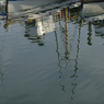 DSC_0398.jpg