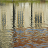 DSC_1590.jpg