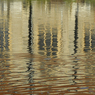 DSC_1596.jpg