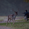SR-D06799_enh_x800.jpg