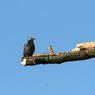 canon_193_richmond_179.JPG