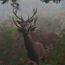 IMGP9446.jpg