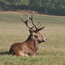 IMGP9532.jpg