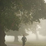 Tania_Hynard-Development-Misty_Morning_Jog.jpg