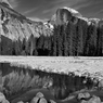 DSC_0414bw.jpg