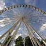 Windsor-Wheel-narrow-portra.jpg
