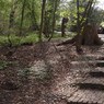 Runnymede_001.jpg