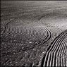furrows1.jpg