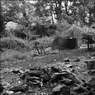 Ed_Doughty_Heligan_Charcaol.jpg