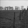 Ed_Doughty_Prospect_Hill_Path.jpg