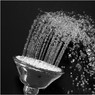 Ed_Doughty_Shower_Spray.jpg