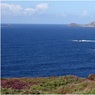 Ed_Doughty_Coastline_at_Lands_End.jpg