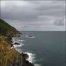Ed_Doughty_Coastline_at_Polperro.jpg