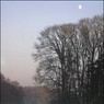 Mist.jpg
