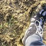 Mud.jpg