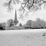 _DSC0300.jpg