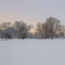 _DSC5014.jpg