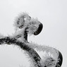 Crystal_Curls_Rod_M.jpg