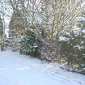 DSCN0469.JPG