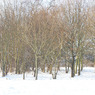 DSCN0484_edited-1.jpg