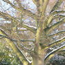 DSCN0485.JPG