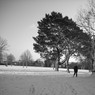 DSCN0496.JPG