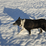 DSC_1234.jpg