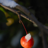 DSC_1247.jpg