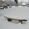 DSC_1521.jpg