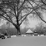DSC_1522.jpg