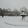 DSC_1529.jpg