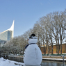 DSC_1543.jpg