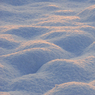 DSC_1553.jpg