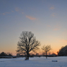 DSC_1561.jpg