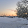 DSC_1568.jpg