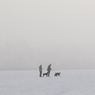 DSC_2348.jpg