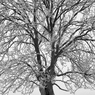 DSC_2363.jpg