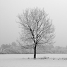 DSC_2368.jpg