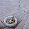 IMG_1108_Crown_Plaza_cigarette_stubs.jpg