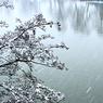 IMG_1314_Bourne_End_bridge_treesnow.jpg