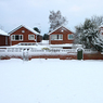IMG_9581_Snow_on_the_Green.jpg